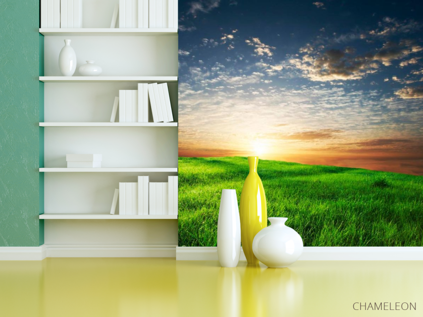 Фотошпалери Трава, небо - 3