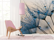 Фотошпалери кульбаби - 4