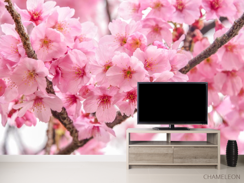 Фотообои две ветки сакуры - 2