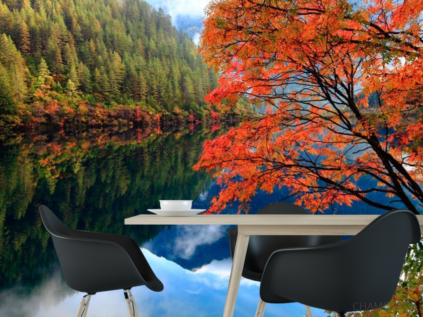 Фотошпалери Відображення, ліс, вода - 1