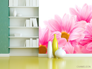 Фотошпалери Ромашки рожеві - 3