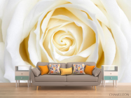 Фотообои Бежево-белая розочка - 1