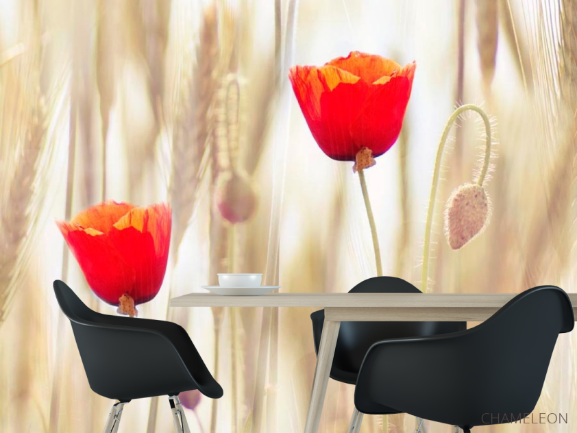 Фотошпалери Маки в полі - 1