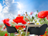 Фотошпалери Маки та ромашки - 1