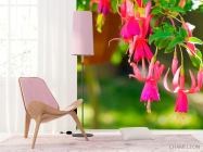 Фотошпалери Малинові дзвоники - 4