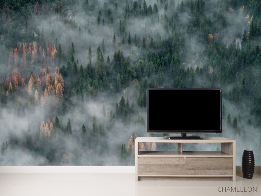 Фотообои Туманные сосны - 2