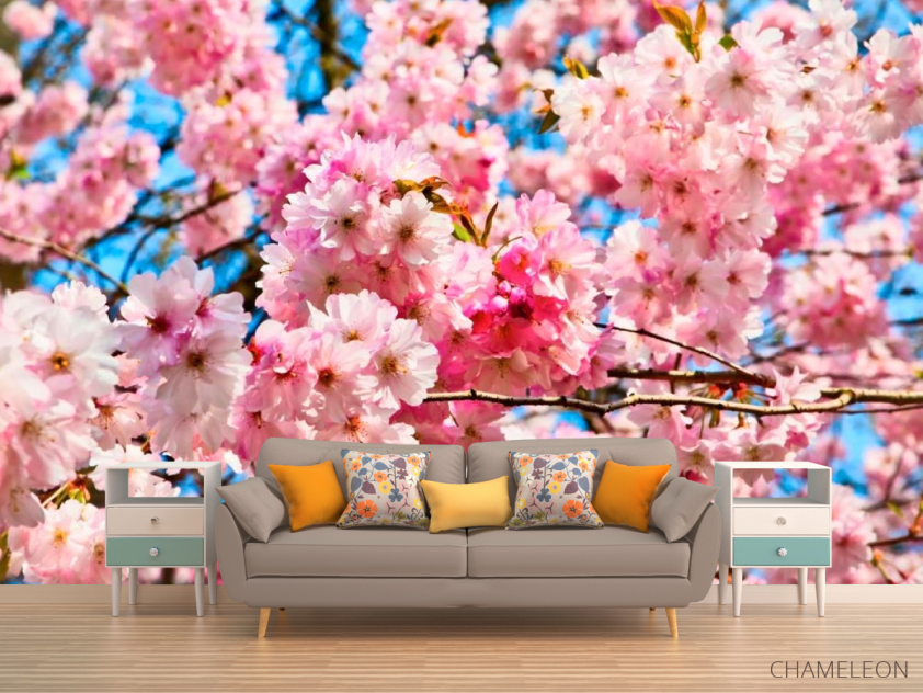 Фотообои Цветение розового дерева - 1