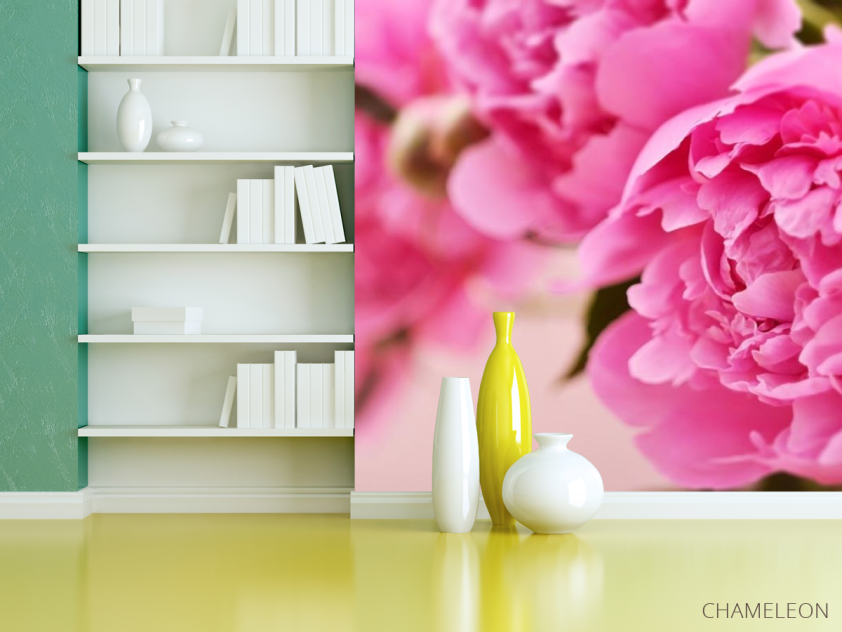 Фотошпалери рожевий піон - 3