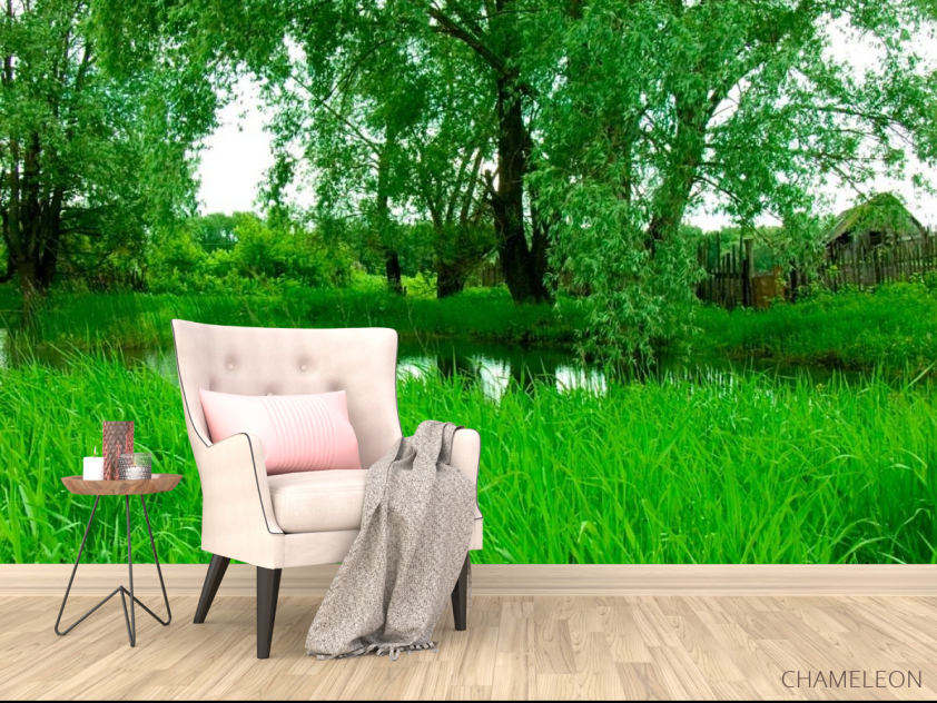 Фотообои Высокая трава - 4