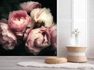 Фотошпалери Вінтажні півонії - 2