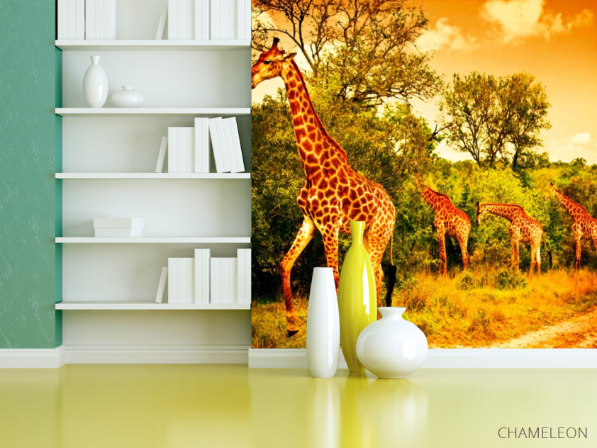 Фотошпалери Жирафи на пасовищі - 3