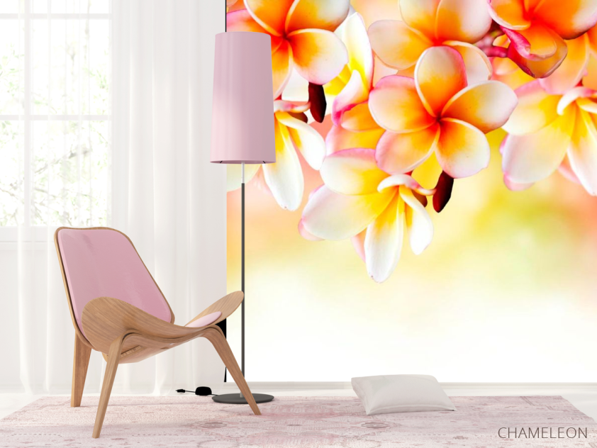 Фотообои Бело-желтые цветочки - 4