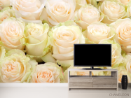 Фотообои нежные розы - 2