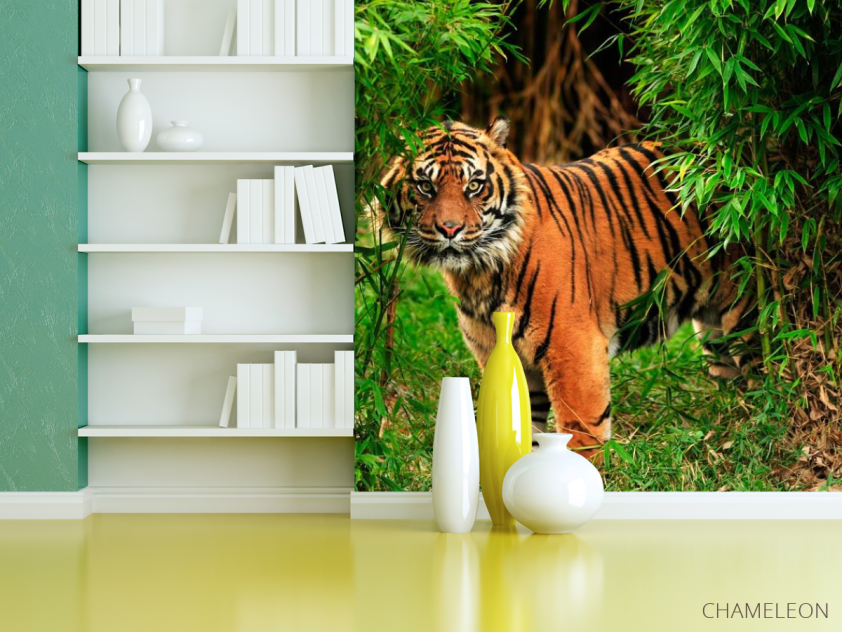 Фотошпалери Тигр в заростях - 3