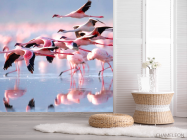Фотошпалери Відлітають фламінго - 2