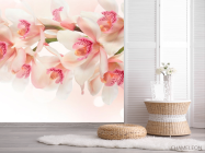 Фотошпалери Квіти - 2