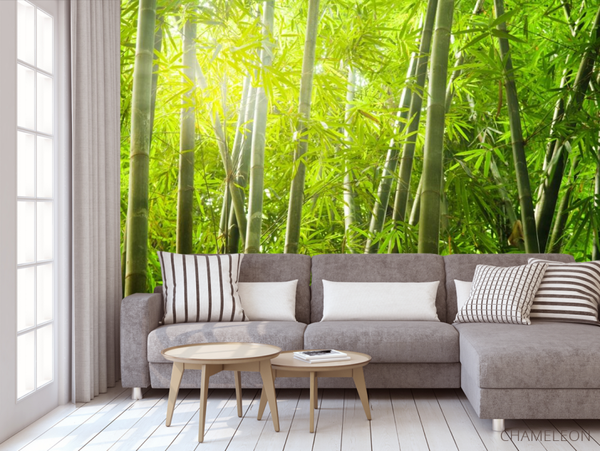 Фотообои бамбуковый лес - 3