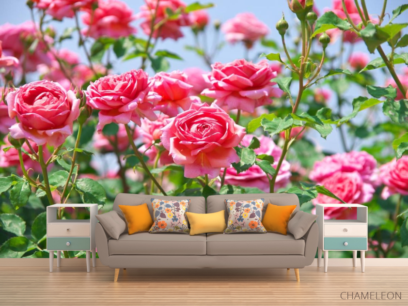 Фотообои кустарники роз - 1