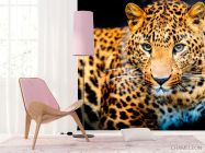 Фотошпалери Гепард на полюванні - 4