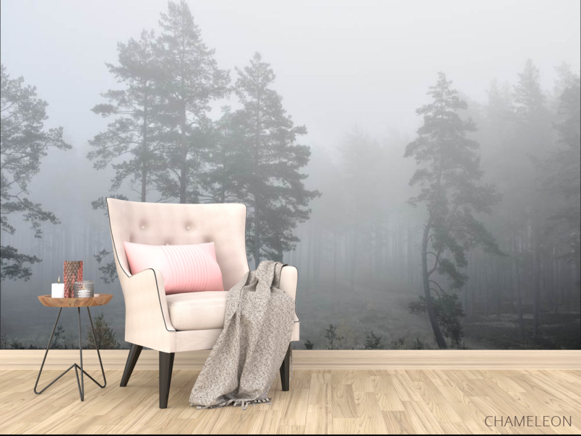 Фотообои туманный лес - 4