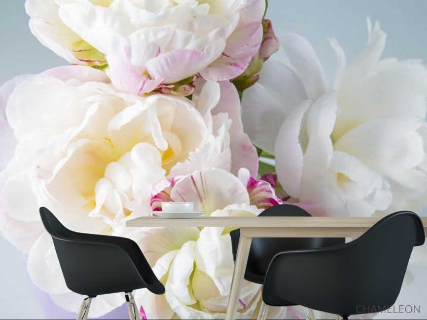 Фотошпалери півонії білі - 1