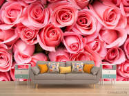 Фотообои яркие розовые розы - 1
