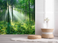 Фотошпалери зелені дерева в лісі - 2