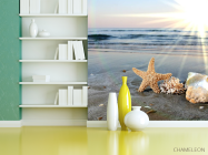 Фотошпалери Мушлі на березі - 3