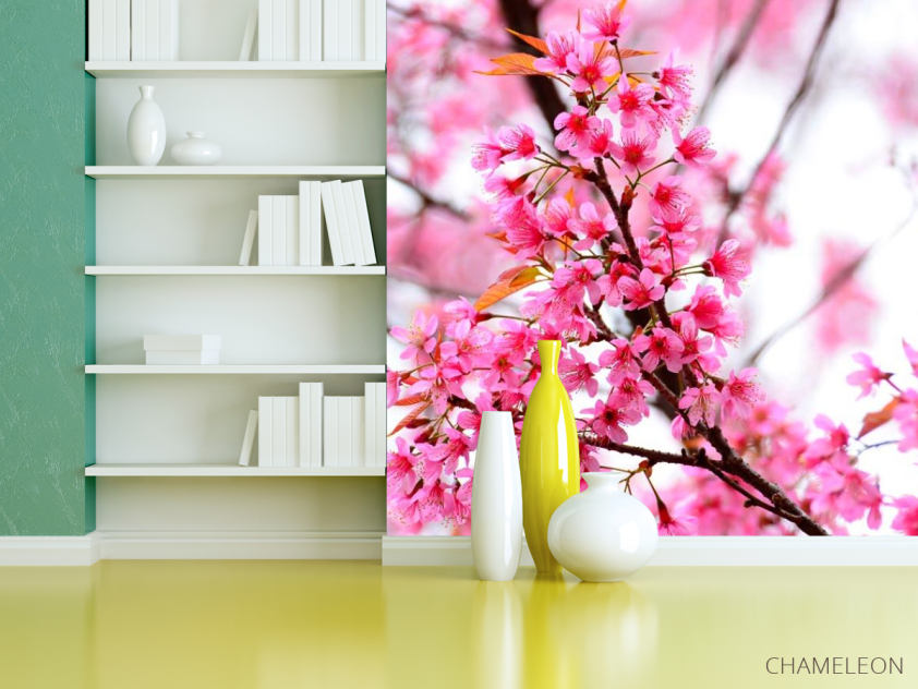 Фотошпалери Квітуче рожеве дерево - 3