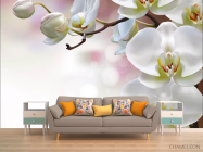 Фотообои Орхидеи - 1