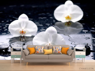 Фотообои Орхидеи на черных камнях - 1