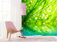 Фотошпалери Трава в росі - 4