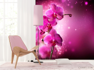 Фотошпалери Малинові орхідеї гілкою - 4
