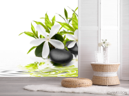 Фотошпалери Білі квіти - 2