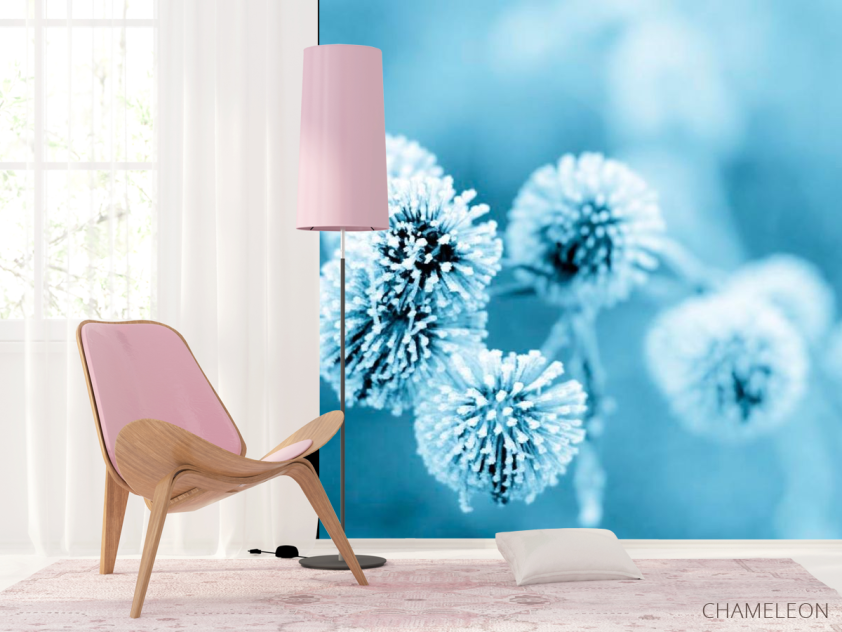 Фотошпалери Квіти в інеї - 4