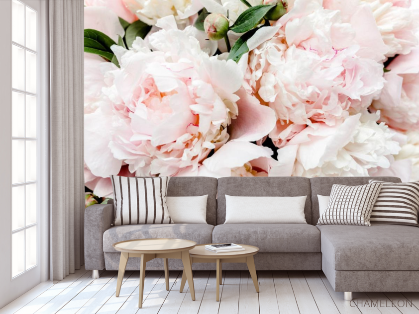 Фотообои Персиковые пионы - 3