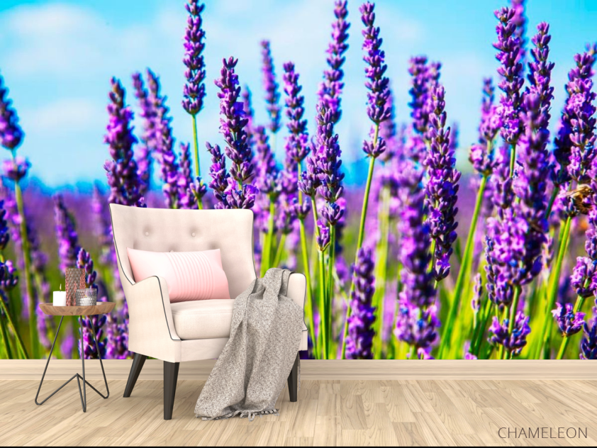 Фотообои Цветы - 4