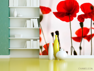 Фотошпалери Маки польові червоні - 3