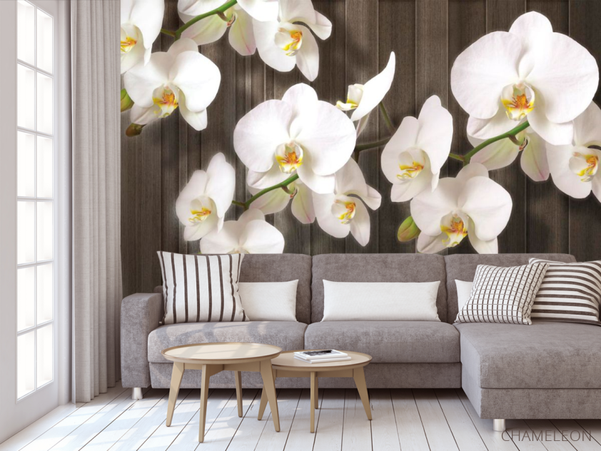 Фотообои Белые орхидеи на дереве - 3