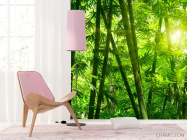 Фотошпалери Тропічна зелень - 4