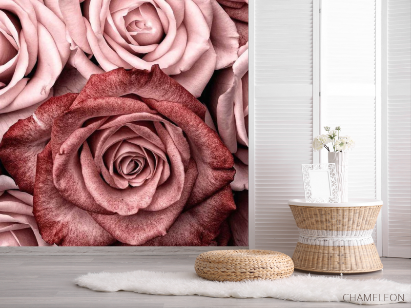 Фотошпалери троянди винного кольору - 2