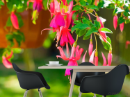 Фотошпалери Малинові дзвоники - 1