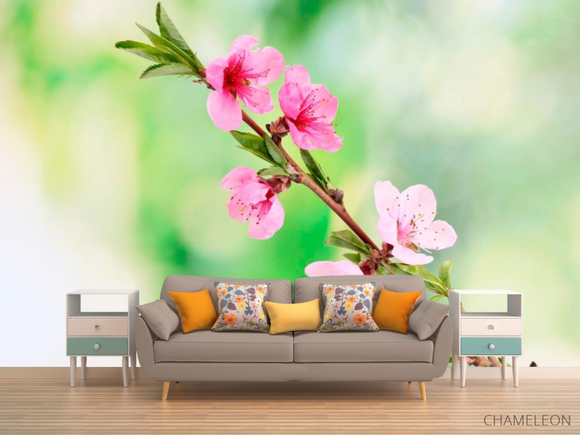 Фотообои Распустившиеся цветы весной - 1