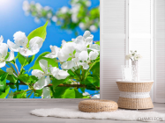Фотошпалери Квіти білі маленькі - 2