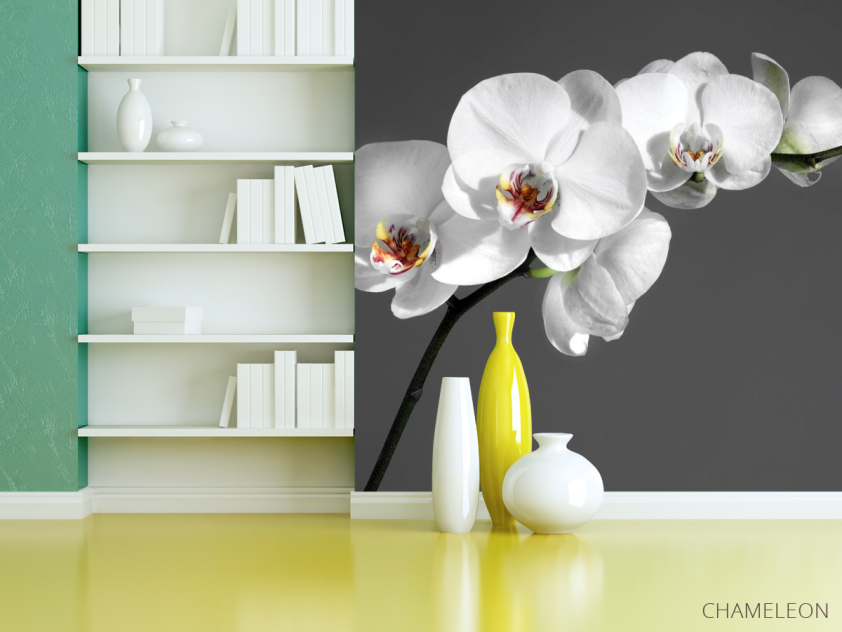 Фотошпалери біла орхідея на сірому тлі - 3