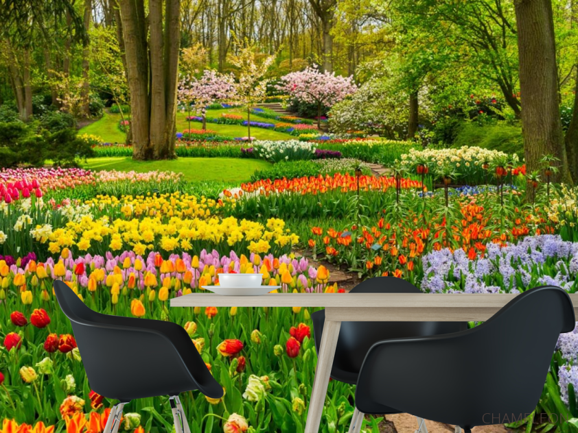 Фотошпалери різнобарвна квіткова поляна - 1