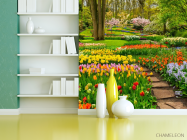 Фотошпалери різнобарвна квіткова поляна - 3