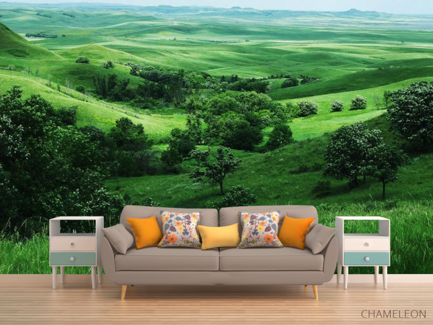 Фотообои Бесконечный луг - 1