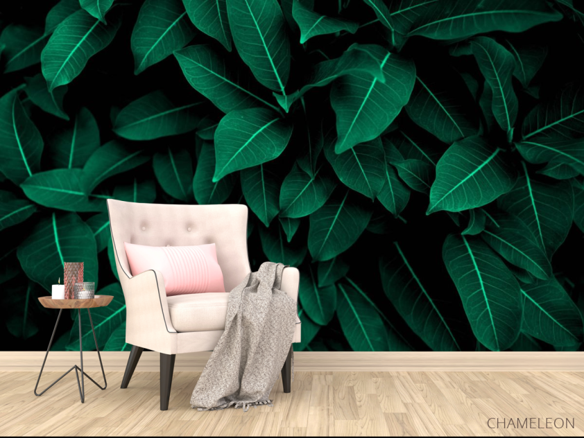 Фотообои Зелёные листья - 4