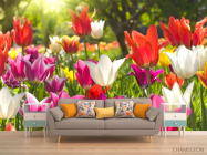 Фотообои Остроконечные тюльпаны - 1